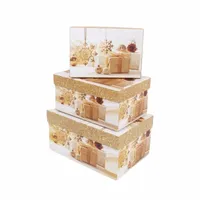 CAJAS 3 UDS 22*15*12 C24