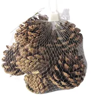PIÑAS 200GR NATURAL C24