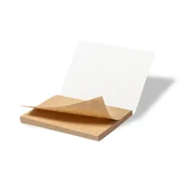 bloc de notas personalizado, papel semilla, recuerdo ecológico, regalo para eventos, comuniones, bodas, bloc plantable, notas adhesivas kraft, semillas de petunia