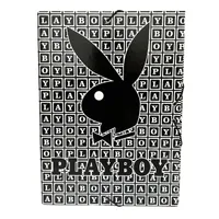 PLAYBOY CARPETA SOLAPAS P2